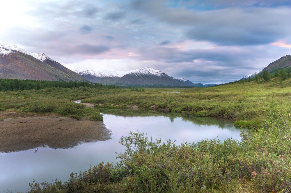 После первого снега