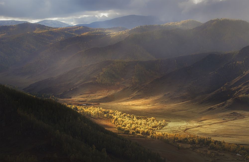 В долине Алтайских гор.