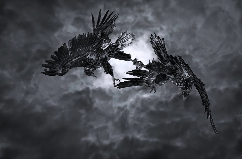 Competition of Chaos