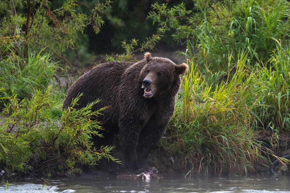 Опасный рыбак