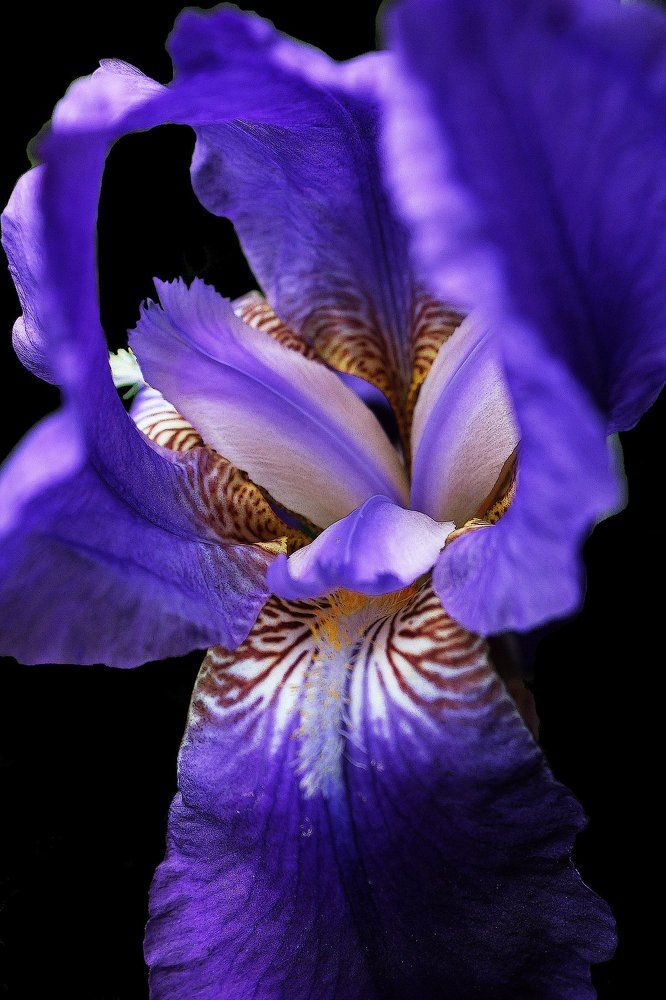 Фотография автора Владислава Андрюнина