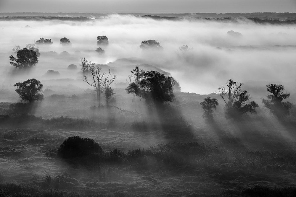 Лучи рассвета