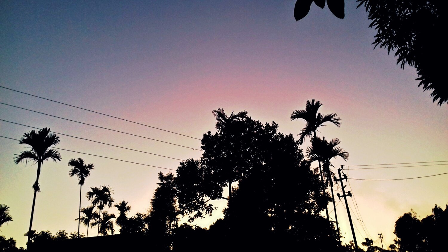 Photo #2130675