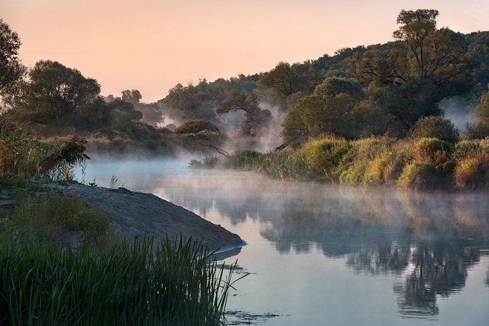 В гостях у природы