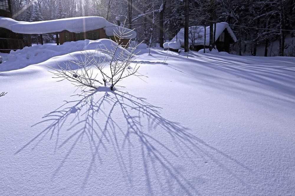 Зимние зарисовки