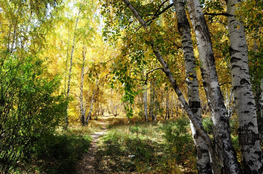 Унылая пора.