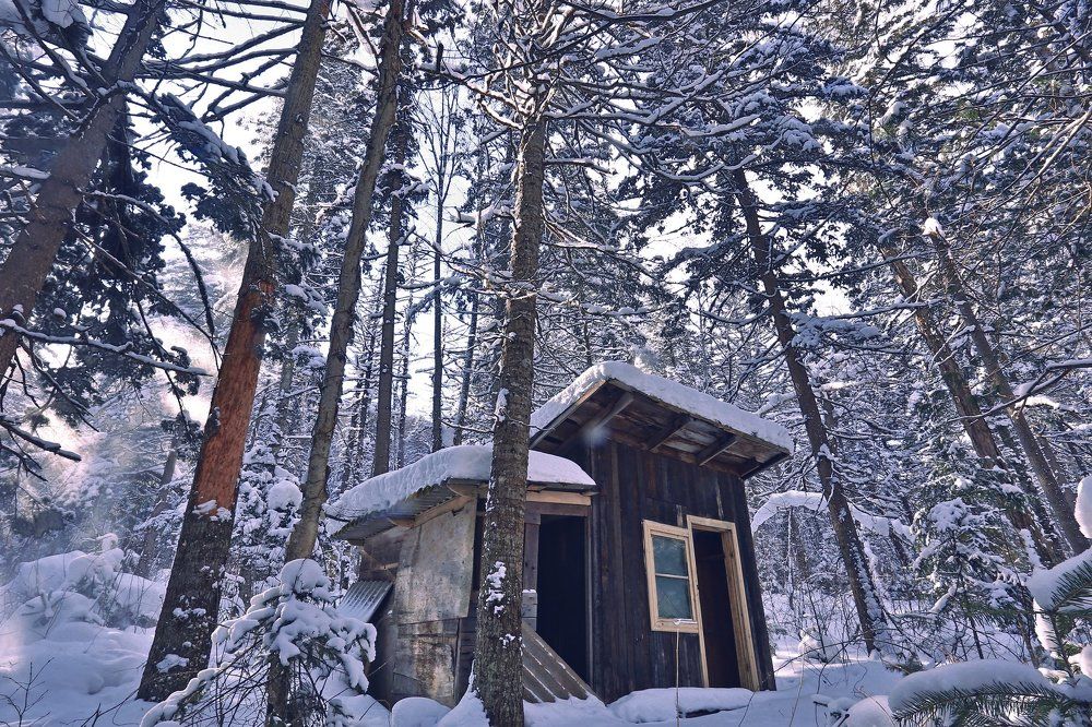 Таежный домик