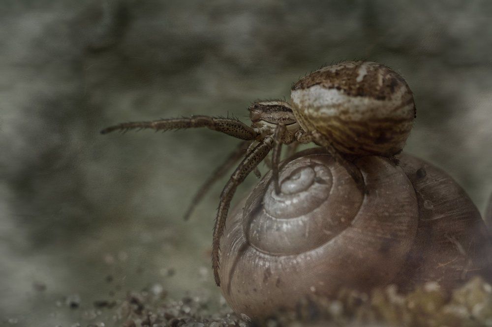 Photograph by Алексей Малых