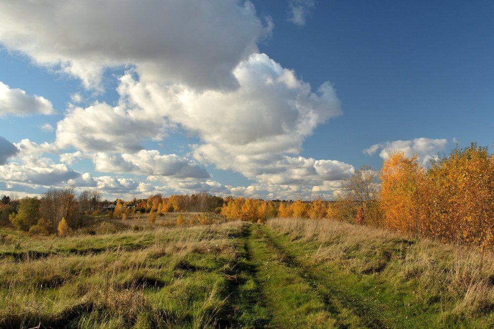 По дороге с облаками...