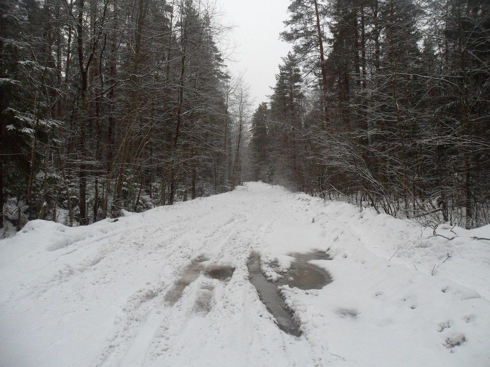 Зимняя дорога