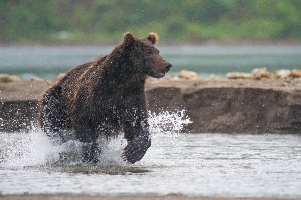Рыбалка под дождём