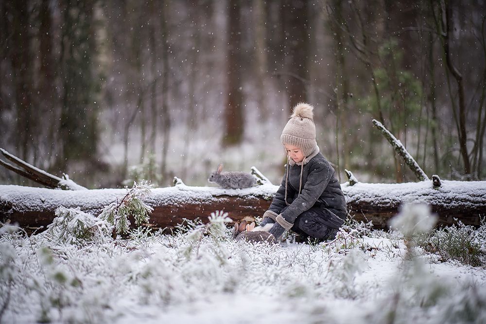 мальчик и зайчики