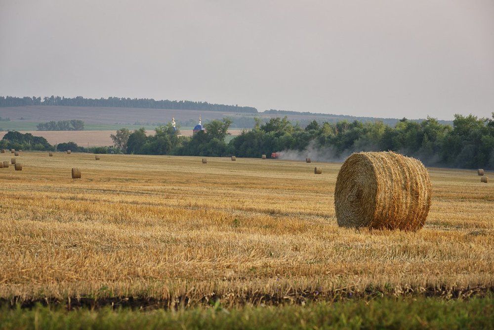 Уборочная пора