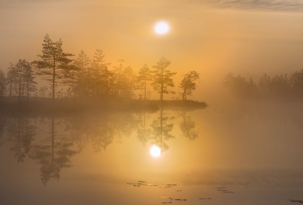 Утро всегда бывает доброе!