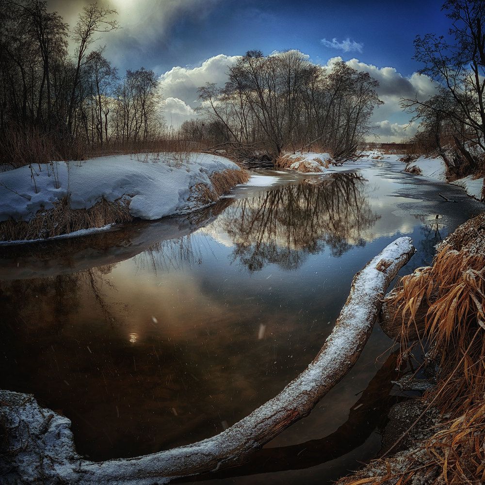 Весенним днем