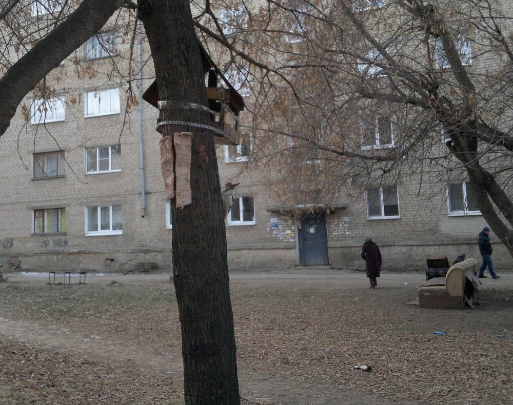 Дятел в городке / Woodpecker in the town