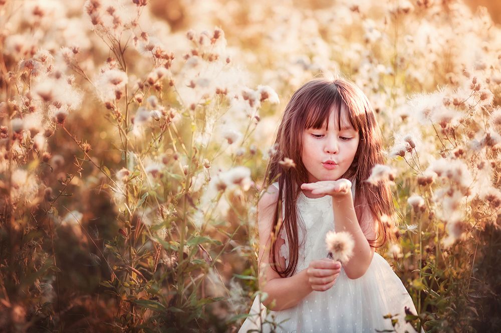 Летний день