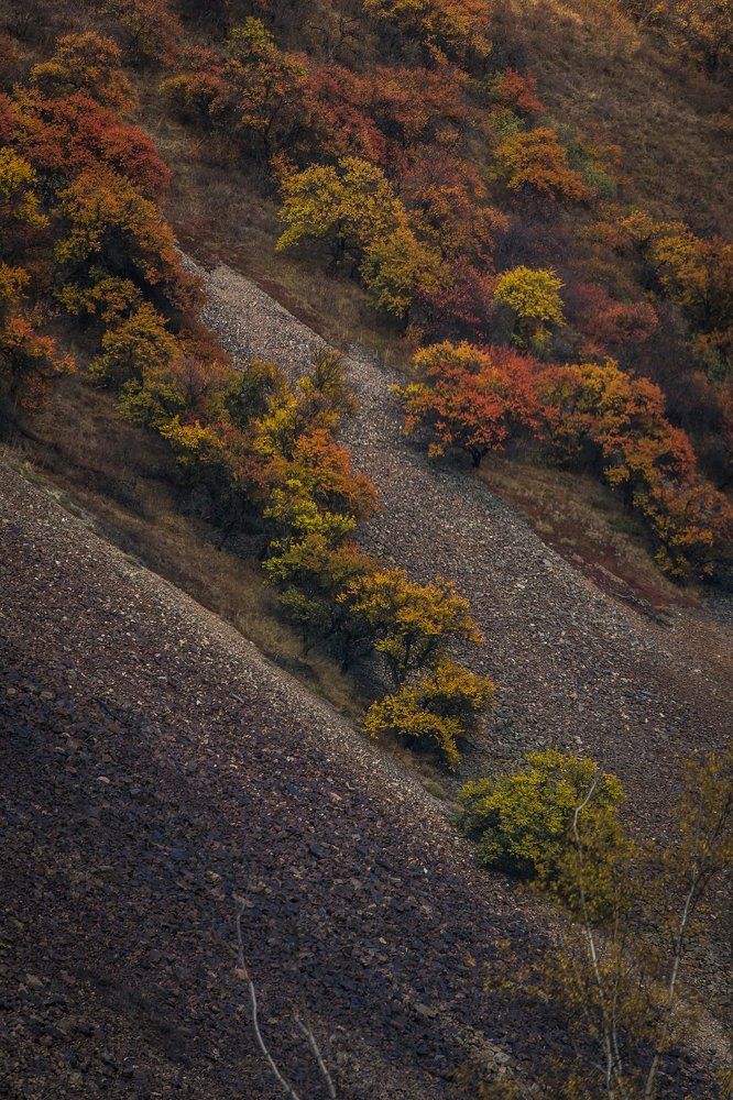 Осень на Иссыкском озере