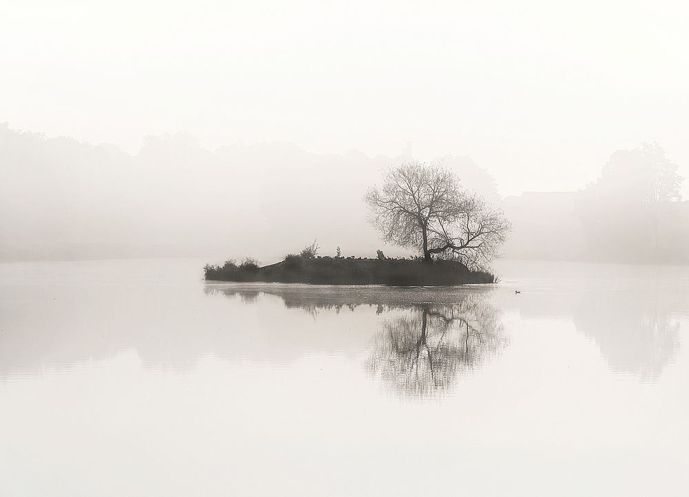 Одинокий остров