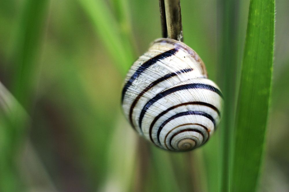 Photograph by Василий