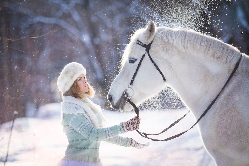 Лиловый январрь