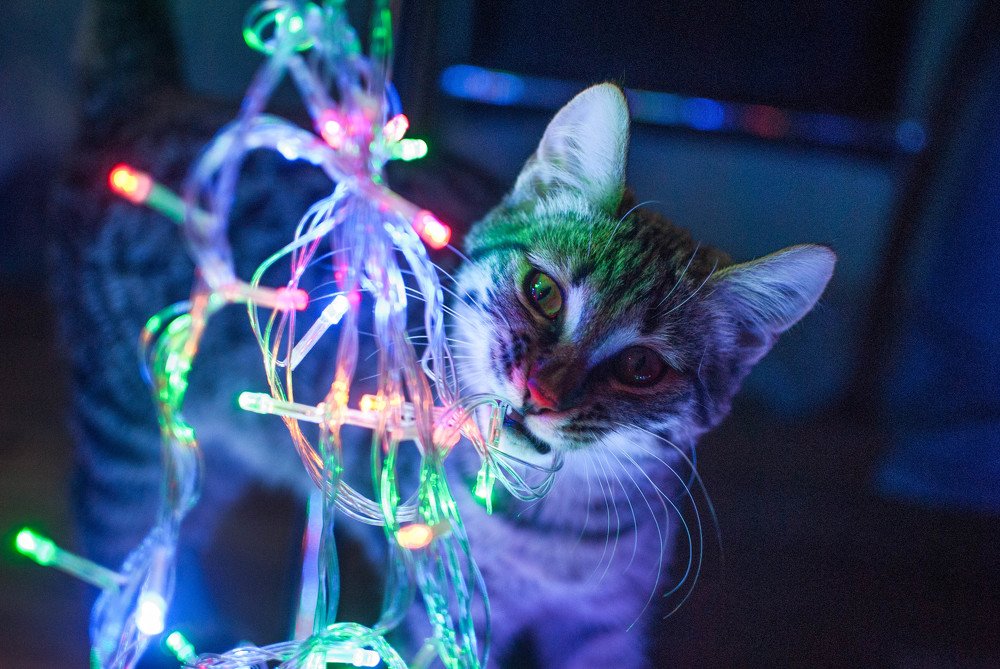 Photograph by Влада1.0