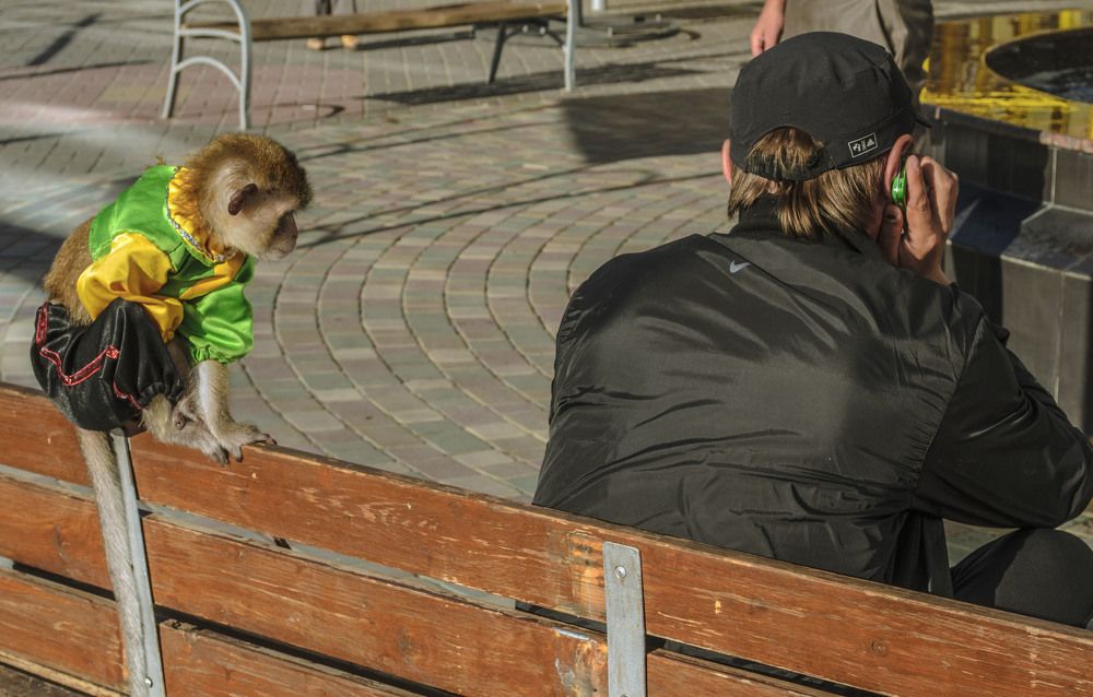 И когда он, наконец, наговорится?