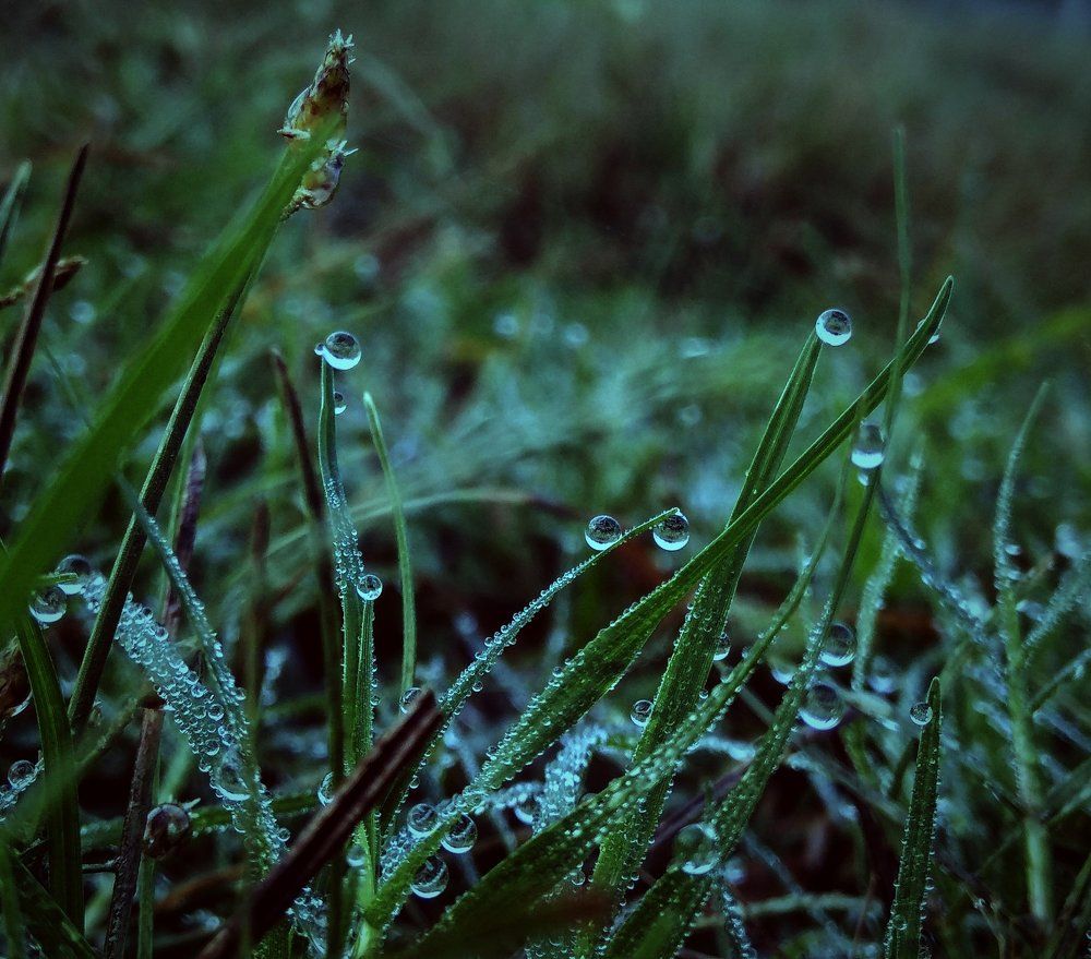 Nature