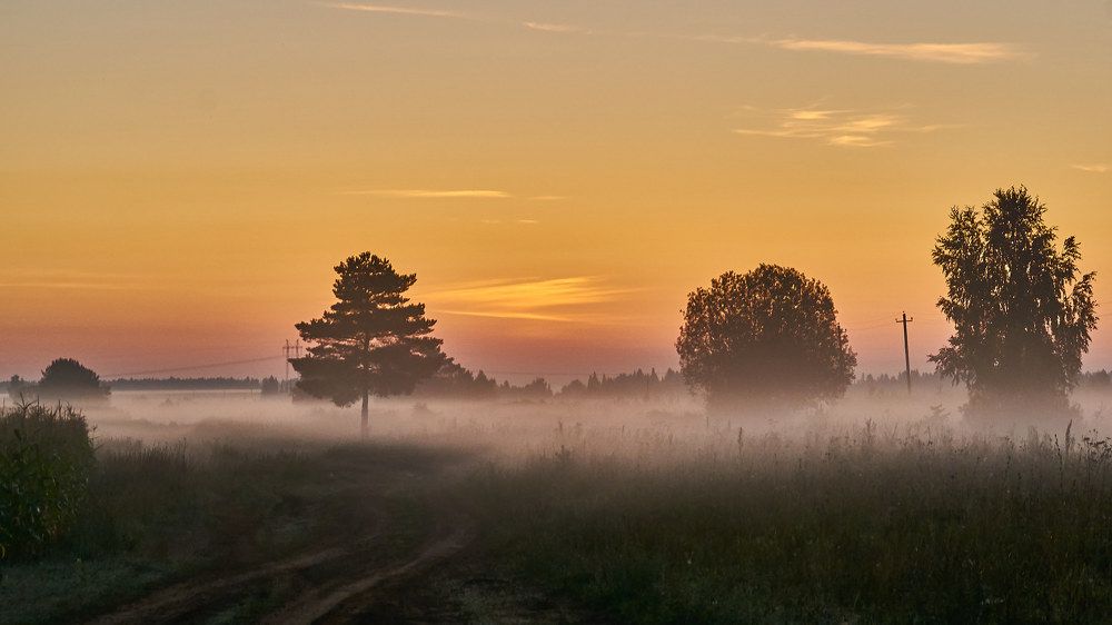 Morning. Misty morning.