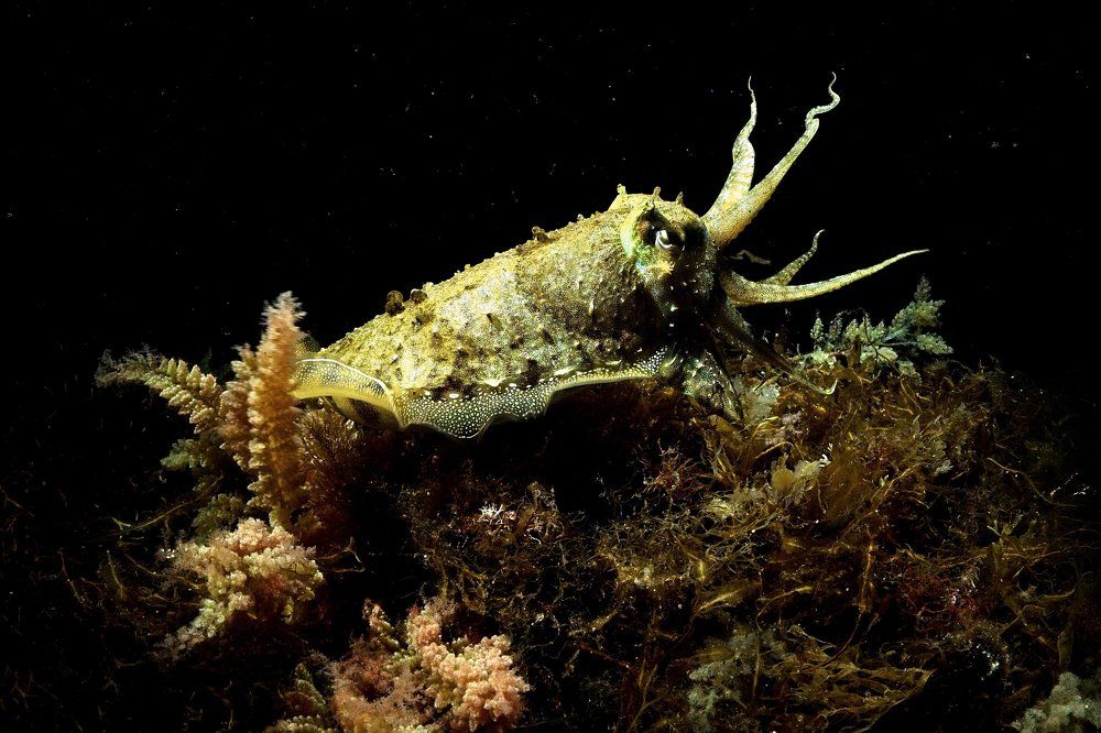 В гостях у сказки