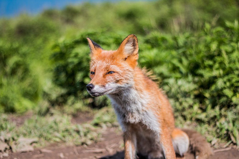 Photograph by Сигида Дмитрий