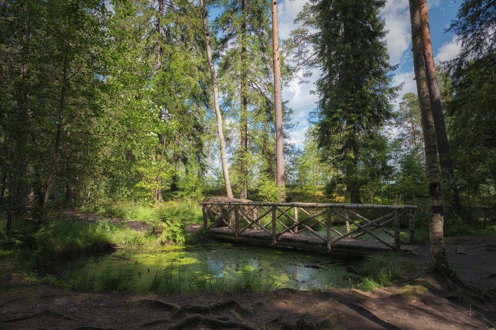 Мостик в сказку