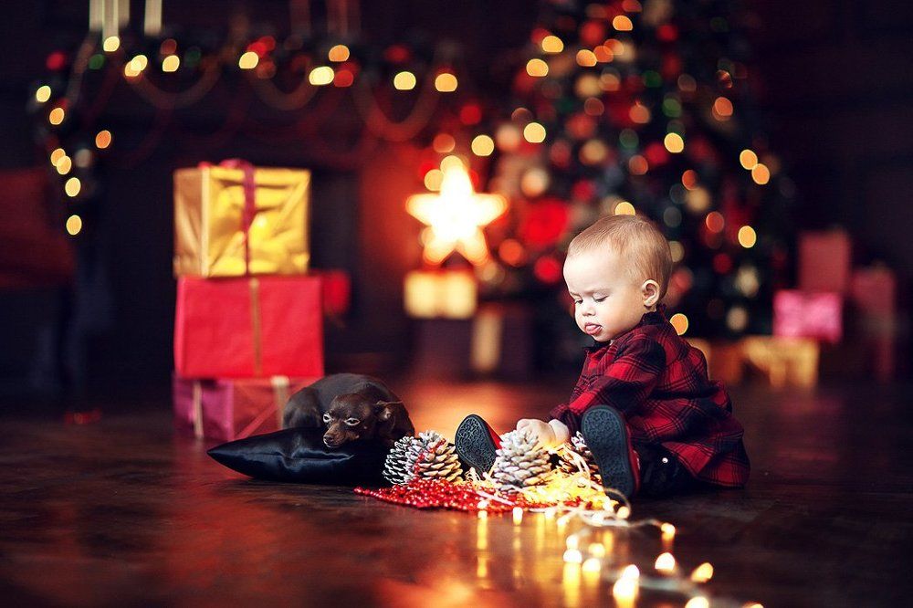 Photograph by Сакович Юлия