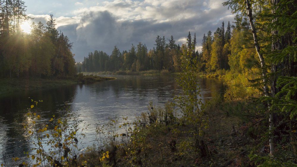 Таёжная река