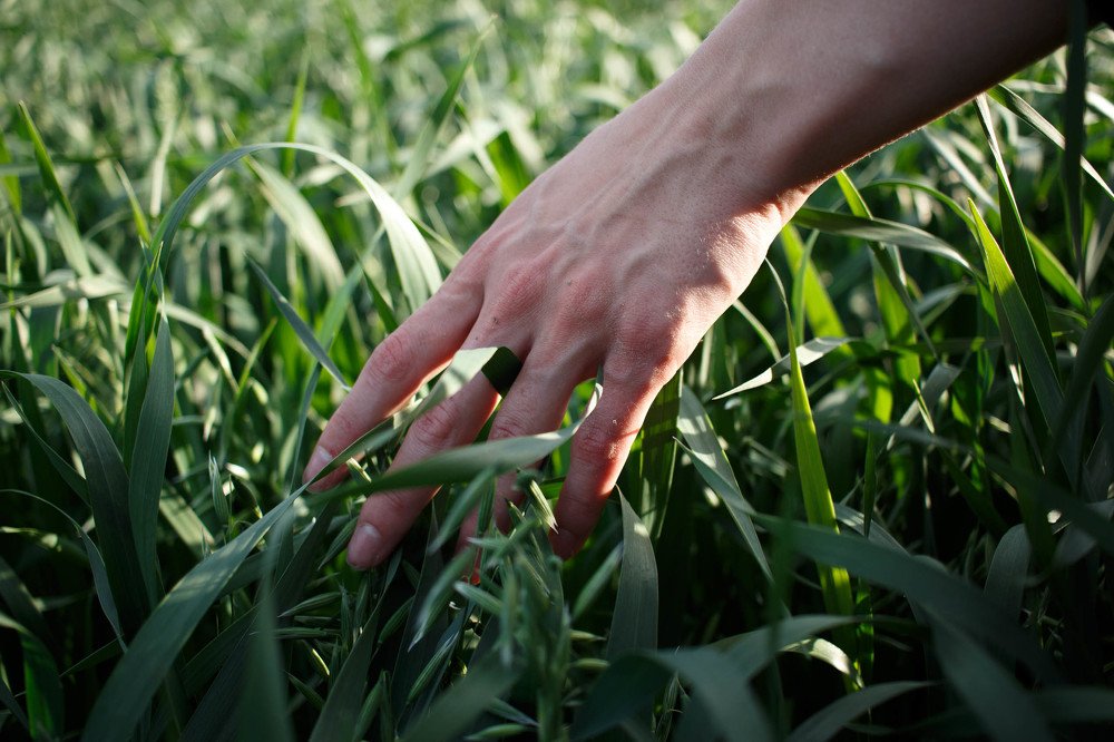 Прикосновение