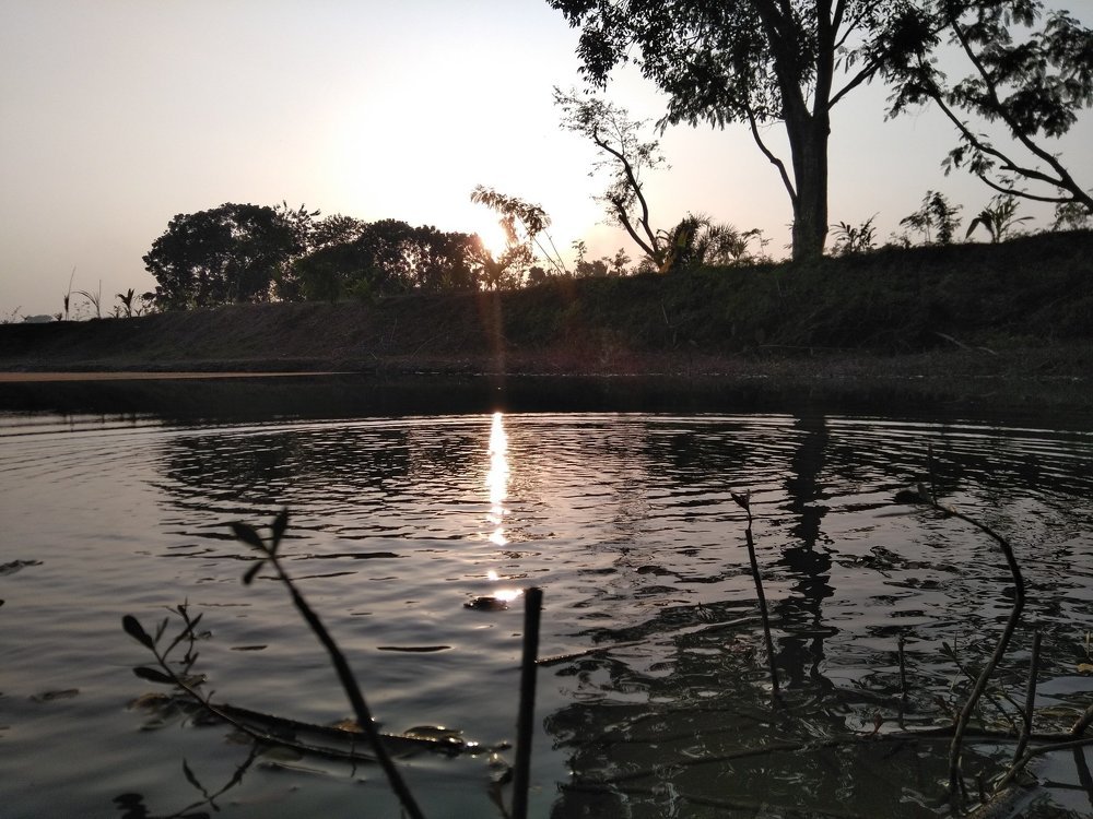 Mirror of neture