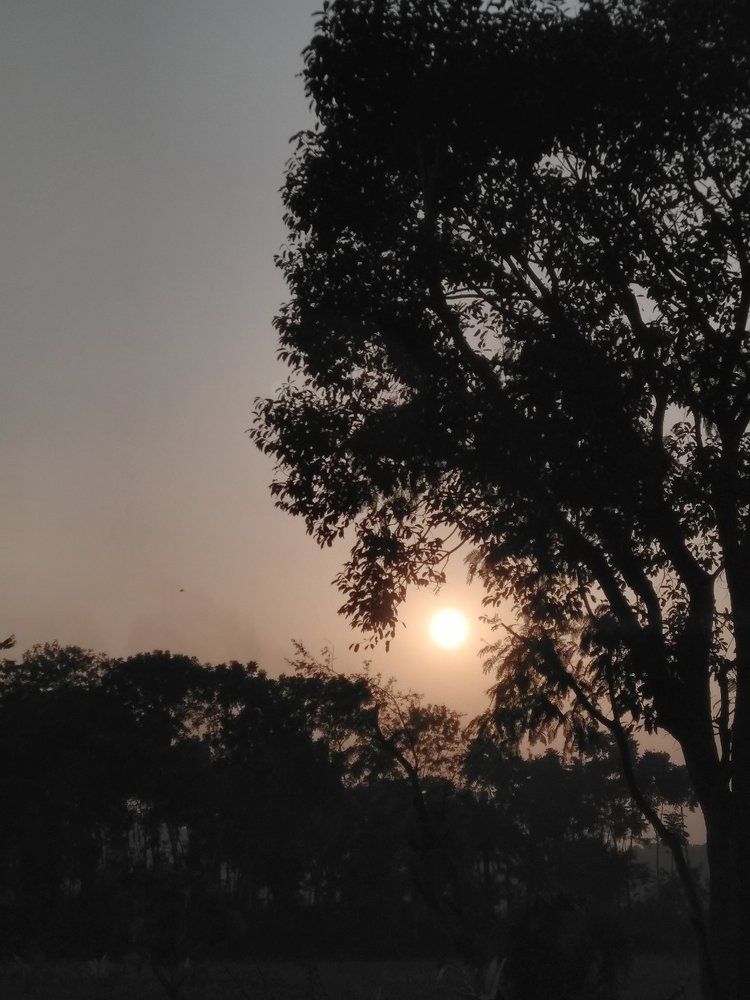 Photograph by Rakesh Sikder