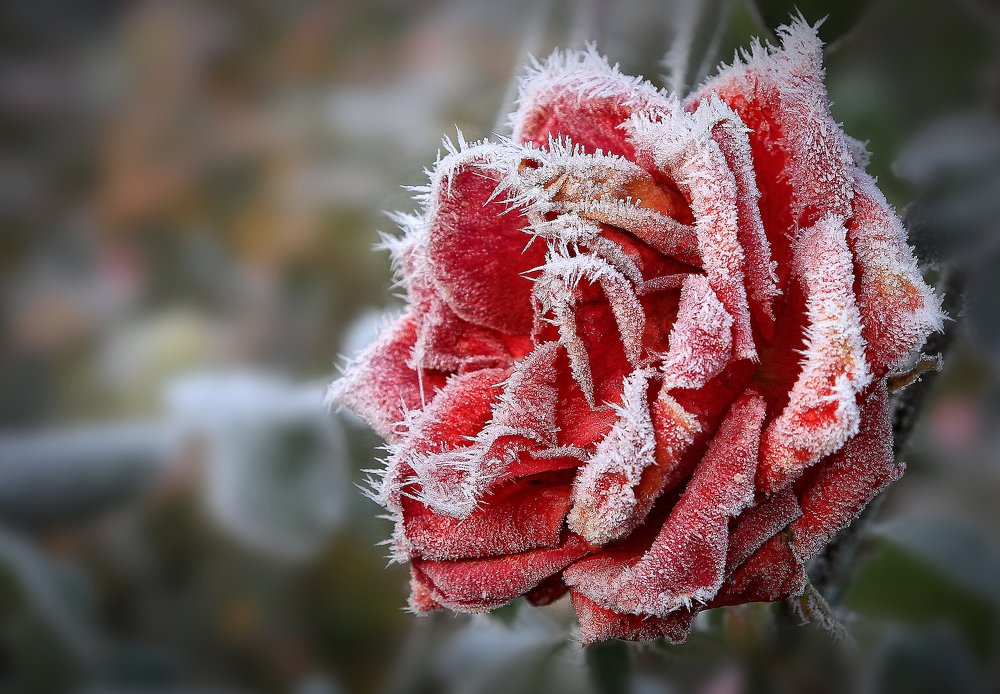 Зимний макияж