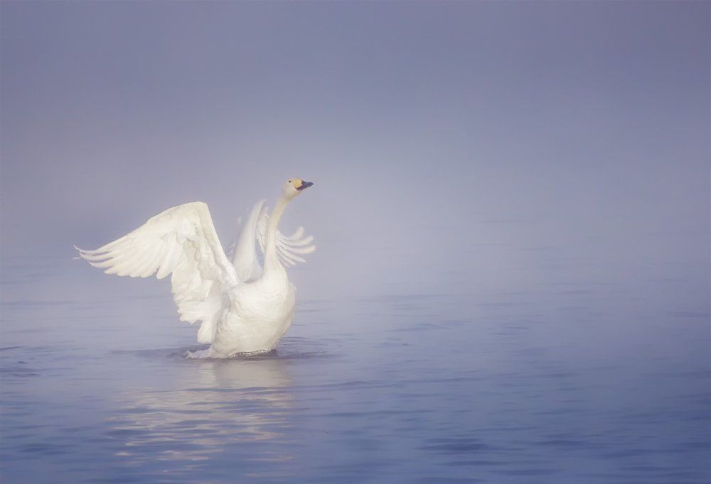 На встречу новому дню