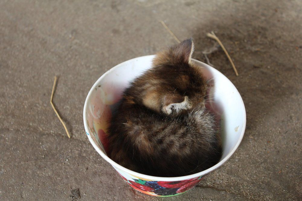 нашел спальню