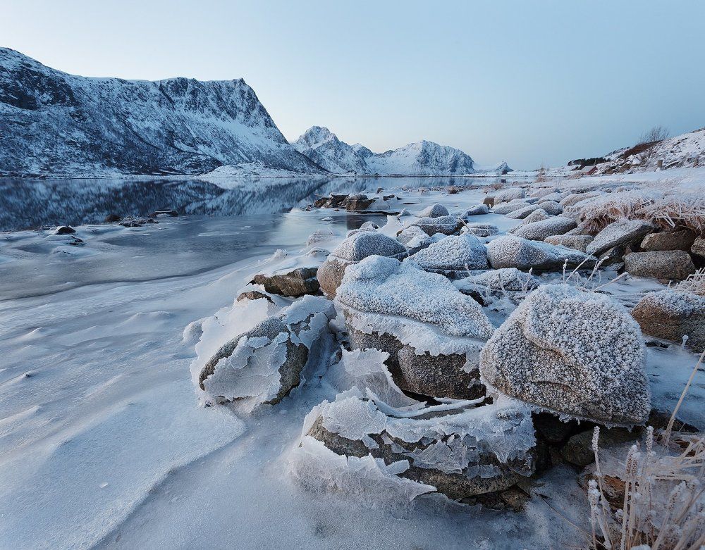 Камни из скорлупы