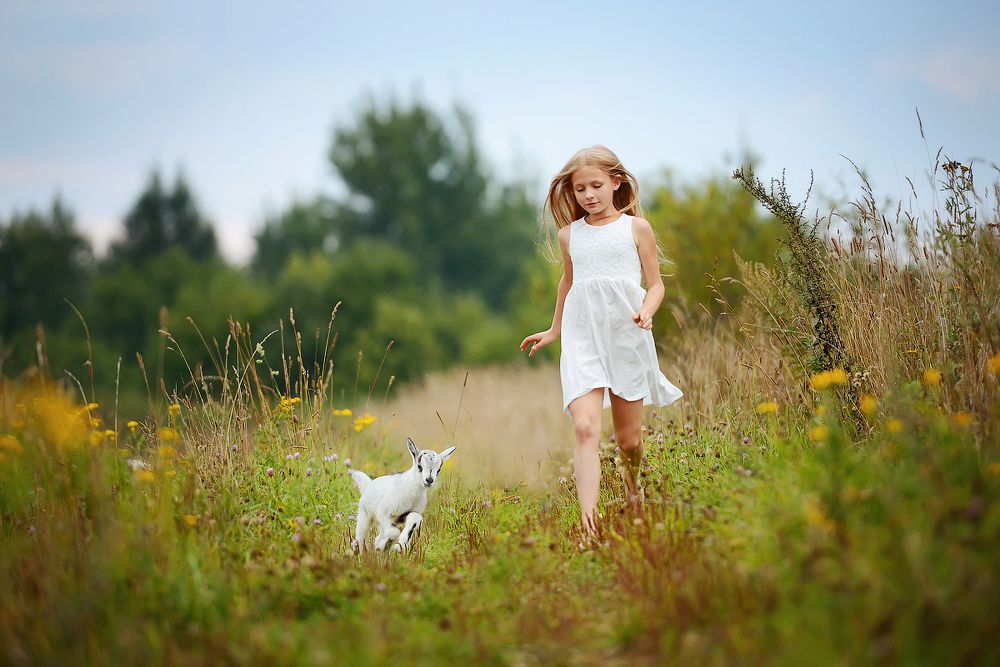 Хорошо в деревне летом