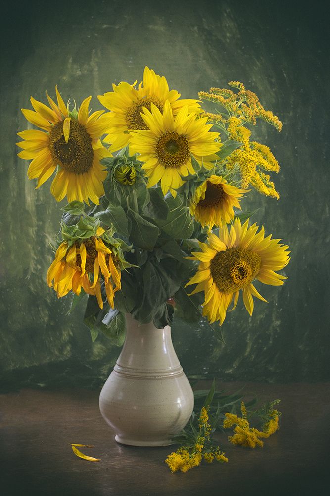 Photograph by Petya Radkova