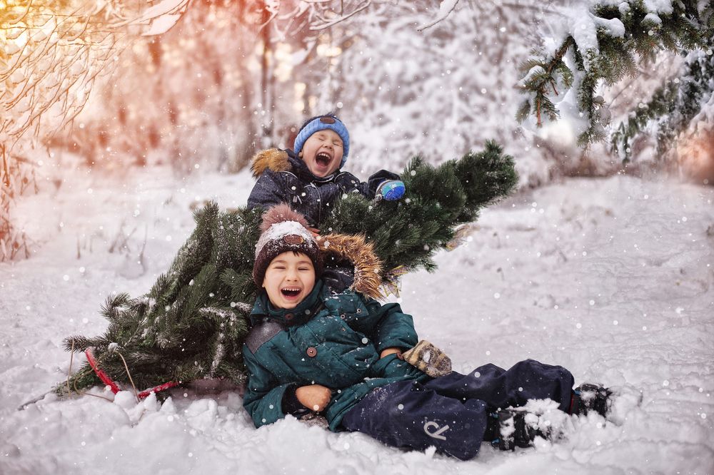 однажды, перед Новым Годом...