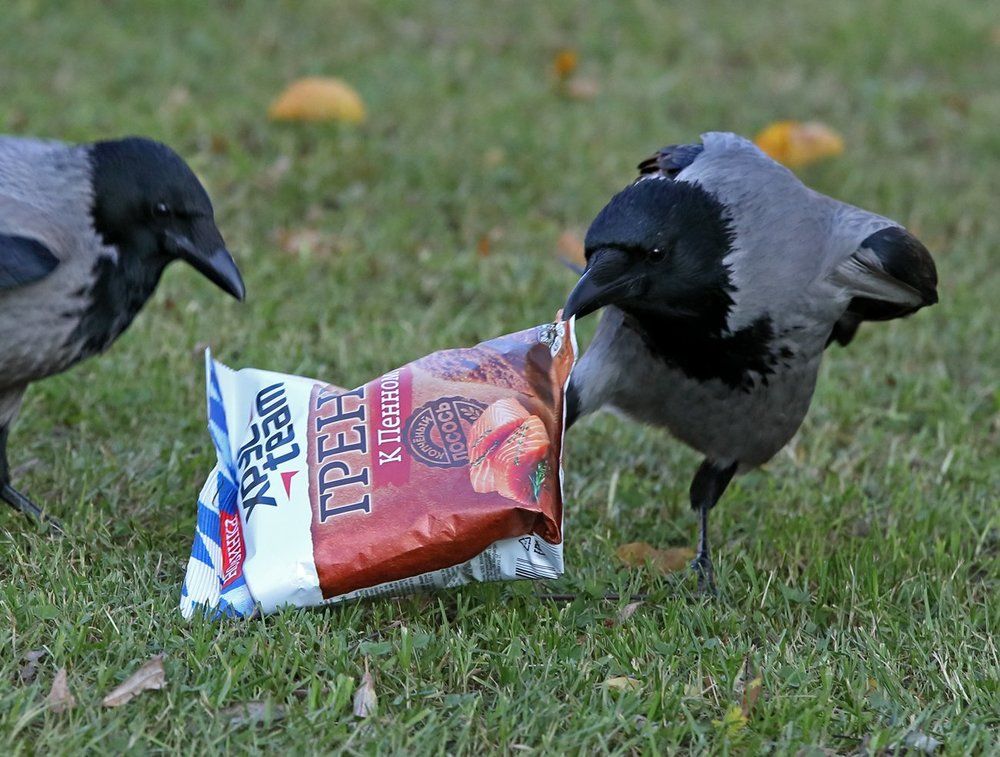 Сухарики к пенному...