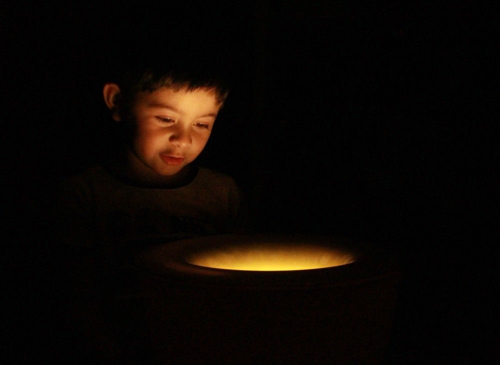 Discovering the universe