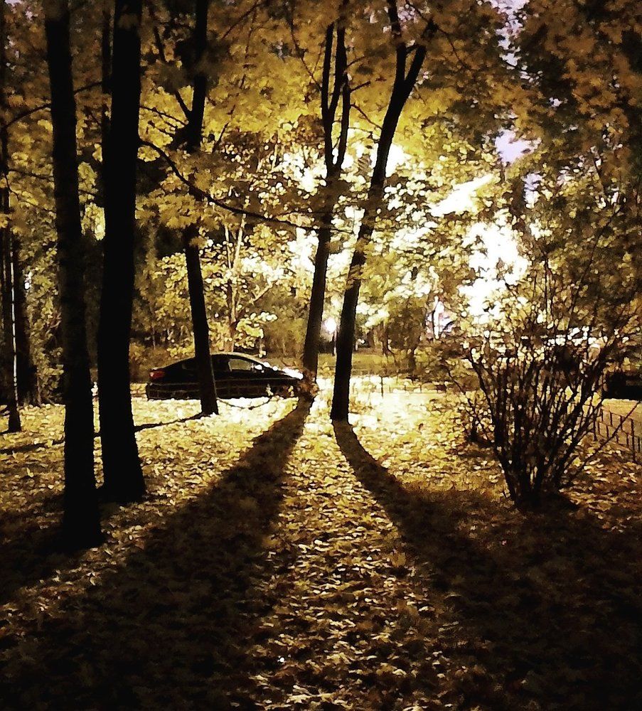 Ночь.