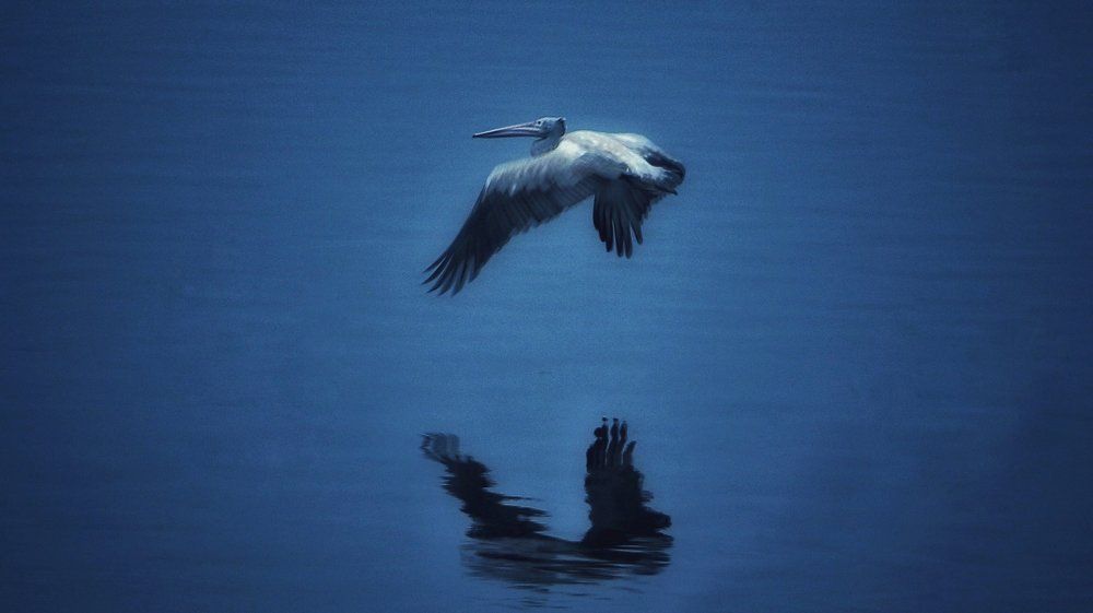Photograph by Kamalash