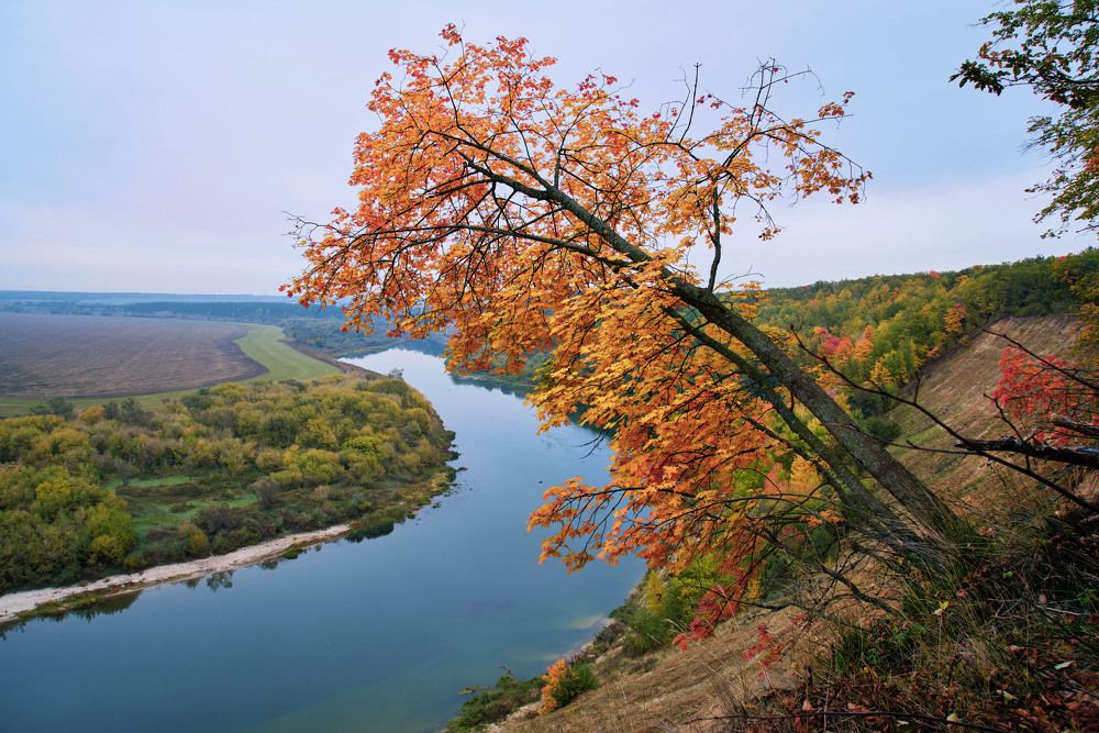 Photograph by Сячин Саша