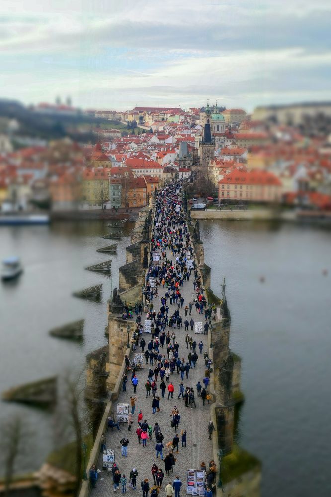 Photograph by Прокошева Екатерина